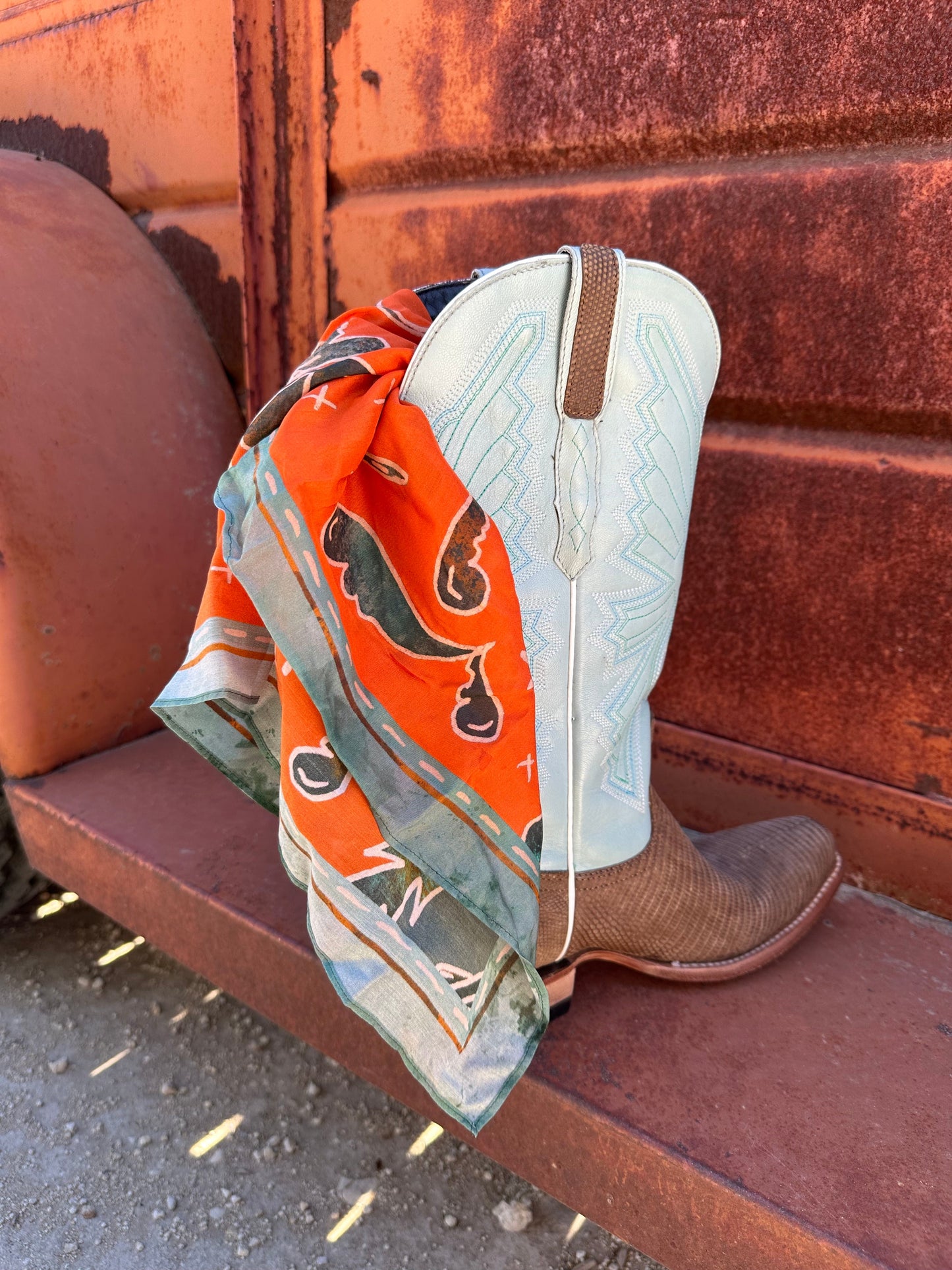 Spurs N’ Horseshoes in Rust Silk Western Cowgirl Wild Rag Scarf